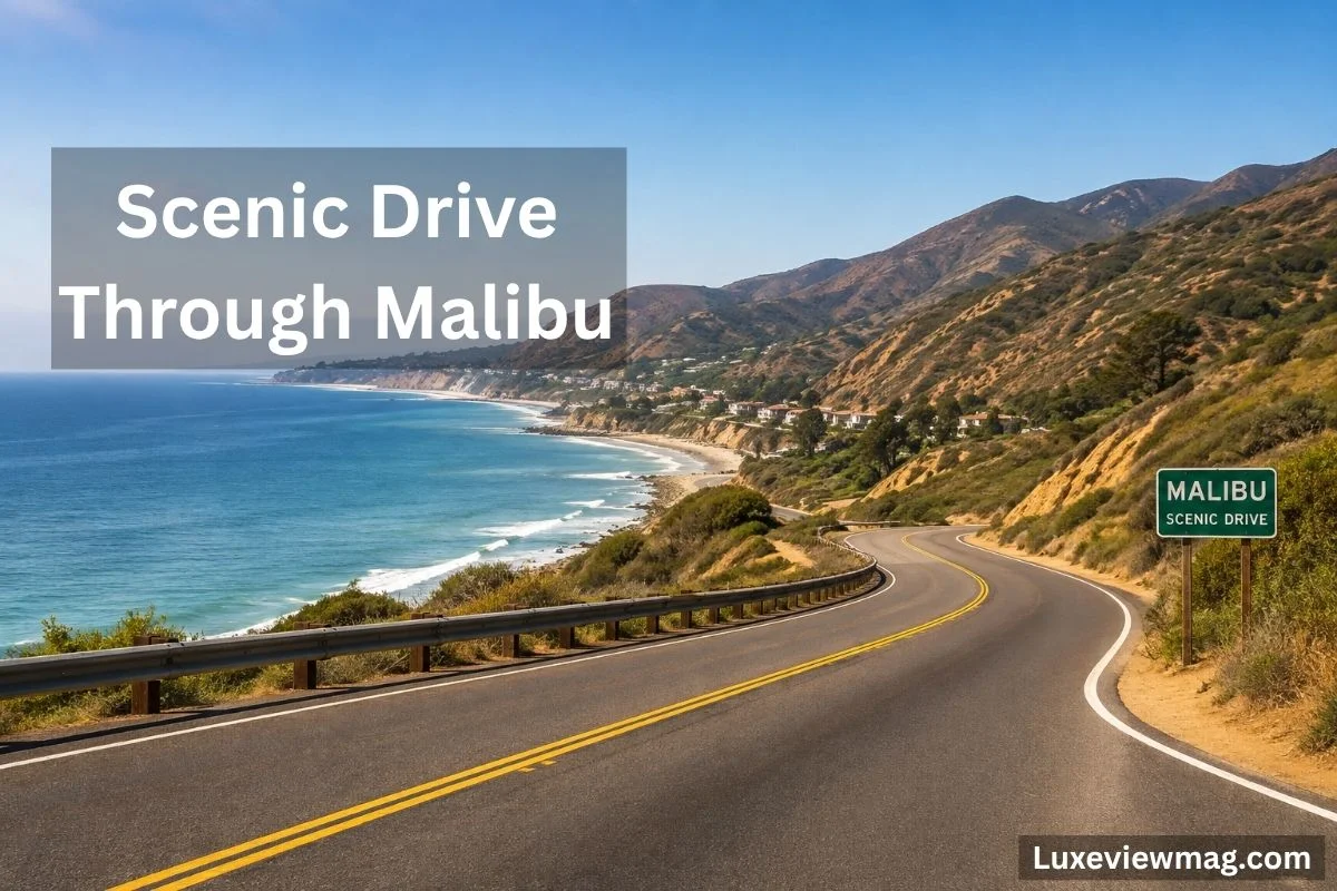 Scenic coastal drive in Malibu, featuring a curvy road with ocean views and vibrant vegetation on either side.