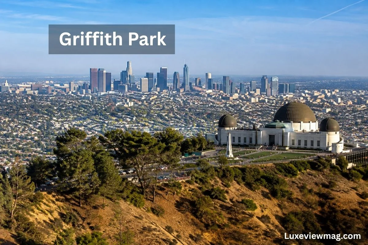 A panoramic view of Griffith Park in Los Angeles, showcasing lush greenery and distant city skyline under a clear blue sky.