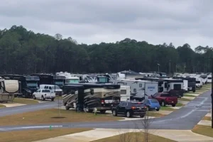 A large group of RVs parked in a spacious lot at 30a luxury RV resort, showcasing a vibrant outdoor lifestyle.