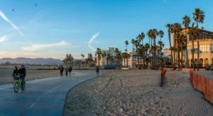 A man and woman enjoy biking on a sidewalk surrounded by palm trees in Venice Beach.
