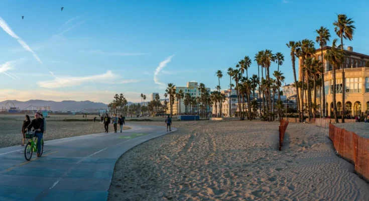 A man and woman enjoy biking on a sidewalk surrounded by palm trees in Venice Beach.