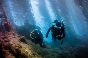 Two scuba divers explore the ocean near a large tree at Point Dume Beach, surrounded by vibrant marine life.