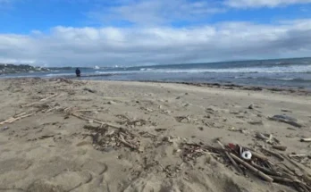 A person walks along Topanga Beach carrying a surfboard under their arm, with waves gently lapping at the shore.