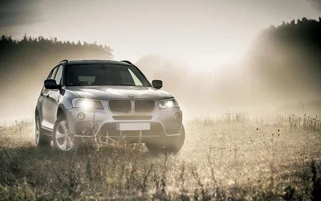 A BMW SUV drives through a lush field, showcasing its luxury and versatility amidst unsold luxury SUV deals.