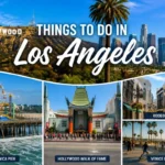 Things to Do in Los Angeles featuring Hollywood, Santa Monica Pier, Rodeo Drive, and Venice Beach